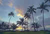 Anini palms sunset web.jpg (250616 bytes)
