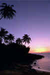Kee-palms-sunset.jpg (58772 bytes)